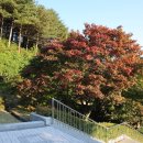 감우재전승기념관 이미지