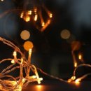 장정구복싱다이어트헬스클럽 이미지