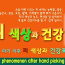 피의 색상과 건강 지수 알아보기 이미지