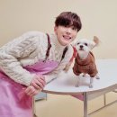 cute dog 이미지