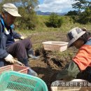 무주천마농장 이미지