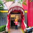 U-소백산 | 서울랜드 당일치기! 아이들과 뽕뽑는 오픈런 후기 &amp; 꿀팁 대방출