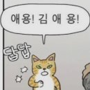 콩빠두 이미지
