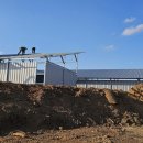 금광태양광발전소 이미지