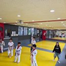 용인대스타태권도 이미지