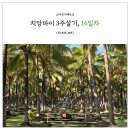 치앙마이 자유여행 16일차, 바파오플리마켓 징자이마켓 마야몰푸드코트 베란다하이리조트 수영장 썬데이...