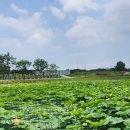 오천그린광장 이미지