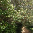 광양 옥룡사지 이미지