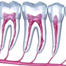 연세한치과의원 이미지