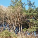 할렐루야농장 이미지