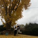 가을을 즐길 수 있는 김포 고촌카페 🍂Bake29s 내돈내산 후기