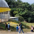 해원목장 이미지