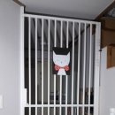 수원-0448 이미지