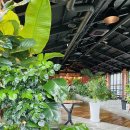 그린보드 이미지