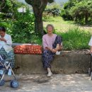 학동할머니 이미지