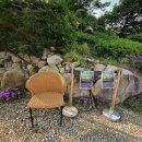 여락송정로 이미지