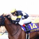 에스크모어 이미지