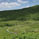 양구 가볼만한곳 대암산 용늪 생태테마관광 색다른 풍경 이미지