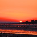 노을바다 이미지