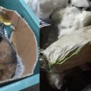 코인스테이지 동전노래연습장 이미지