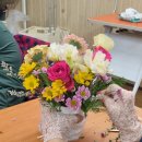 반석종합사회복지관 이미지