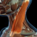 하사랑신경과의원 이미지