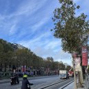 정들개 | 파리여행 시내 하루투어 추천(마이리얼트립 내돈내산)