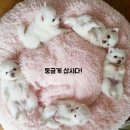 놀자 - 마포구 와우산로29길 19 | 놀자