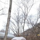 공작산계곡 오토캠핑장 이미지