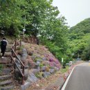 신흥교입구 이미지