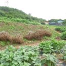 원북초등학교방갈분교장 이미지