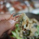 양포수산 이미지