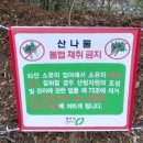 청주산나물