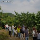 NR-29[신평로]-하-1 | 용계역 맛집 슬로우벗베럴 대구점 어떨까?｜추천메뉴, 가격, 주차, 영업시간까지