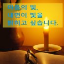 촛불호프 - 서구 | 촛불호프