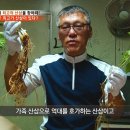 코리아헌터 이미지