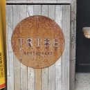 트라이브 | 동성로 파스타 맛집 트라이브레스토랑 데이트 성공 후기