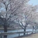 고성지 이미지