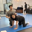 레이업 리컨디셔닝 센터 - 수원본점 | 수원허리재활 레이업리컨디셔닝 센터 개인 맞춤으로 건강하게