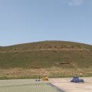 포레스트선흘 | 날씨별 제주도렌트카 드라이브 추천 코스 총정리! 이건 꼭 보세요!