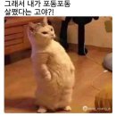 사리원분식