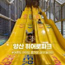 유림-1098 이미지