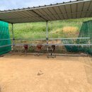 바른정비서비스(1급) 이미지