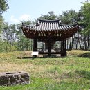 고반대 Daum카페