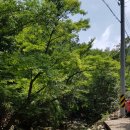 장안산민박 이미지