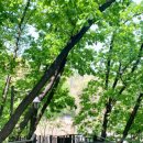 방배로23길 44 이미지