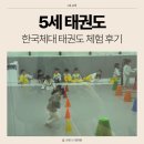 한국태권도스쿨 이미지