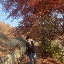 범진농장 | [화성 가볼만한곳] 백미리 어촌체험, 승마체험, 사과따기 꿀잼!