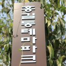 홍길동테마파크 이미지