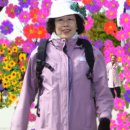 인천광역시 여성의광장 강당 | 인천 서구 SK 석유화학 벚꽃 동산에서 꽃놀이 후기